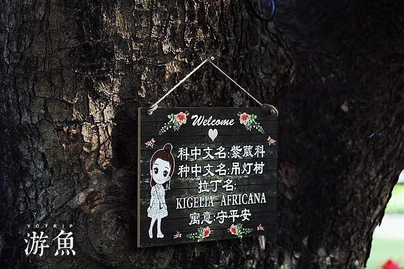 有时候感觉有点让不得人是什么意思？游戏画面
